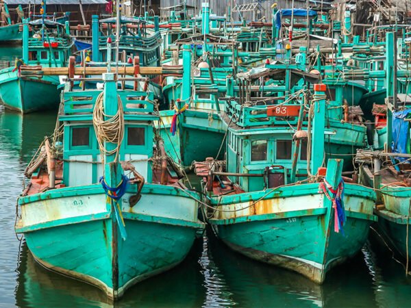 fishing-boats