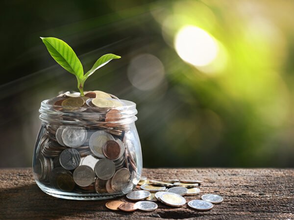 money-plant-glass-jar